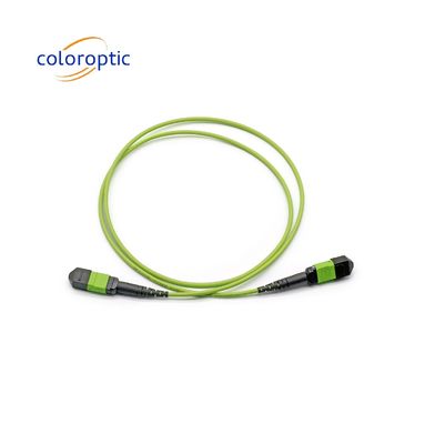 Einmodische MTP Patch Cord MTP-Anschluss G652D / G657A1 / G657A2 Faser