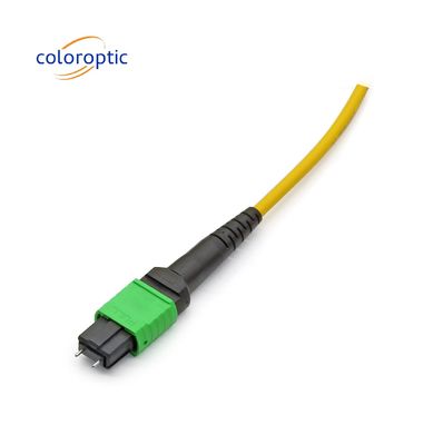 MTP / MPO Gelbfaser-Optische Trunkkabel für 40G / 100G-Anwendungen