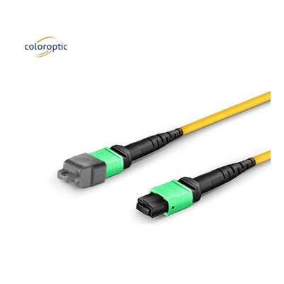Einzelmodus-MPO-Optikkabel OM3-Faserklasse mit PVC-Jackett