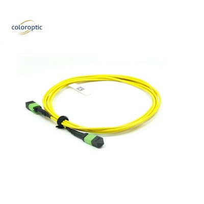 OM3 MPO Patch Cord 12-Kern-Aqua-Fiber-Optische Verbindung für effiziente Vernetzung