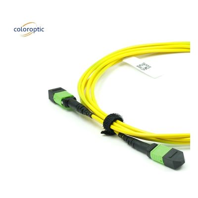 Einzelmodus-MPO-Optikkabel OM3-Faserklasse mit PVC-Jackett