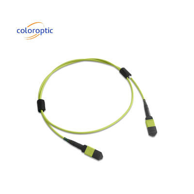 Multifiber MPO Patch Cord PVC Jacket 12 Kern OM5 weiblicher zu weiblicher Stecker PC Polieren