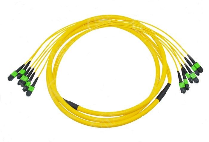 12 Kerne MPO Fiber Patch Kabel für Datencenter-Kabelverbindung