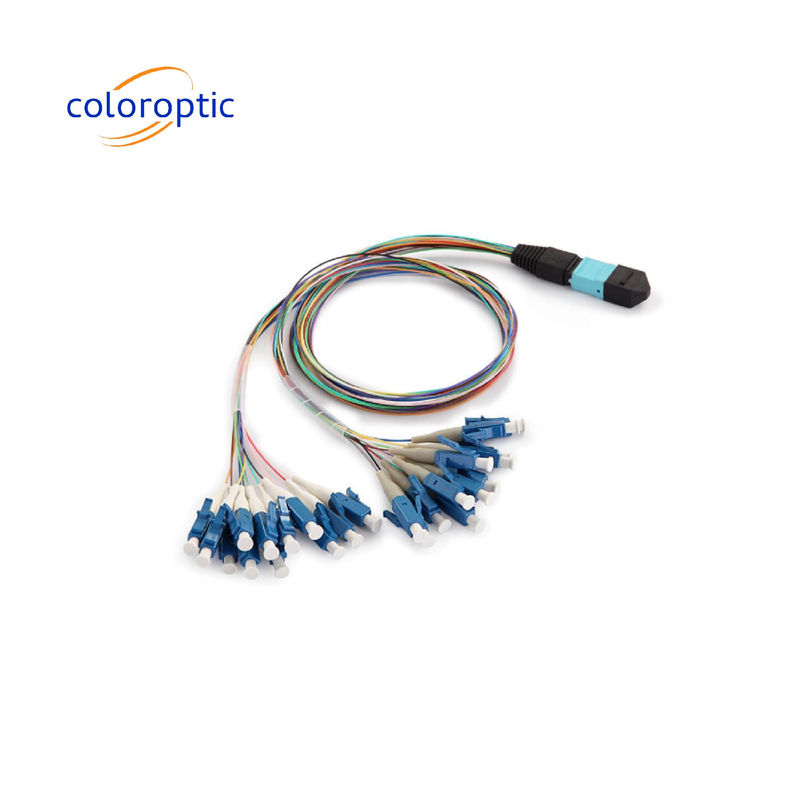 Einfach / Duplex MTP Patch Cord Hydra Kabel OM3 / OM4 Mpo 24 Stecker