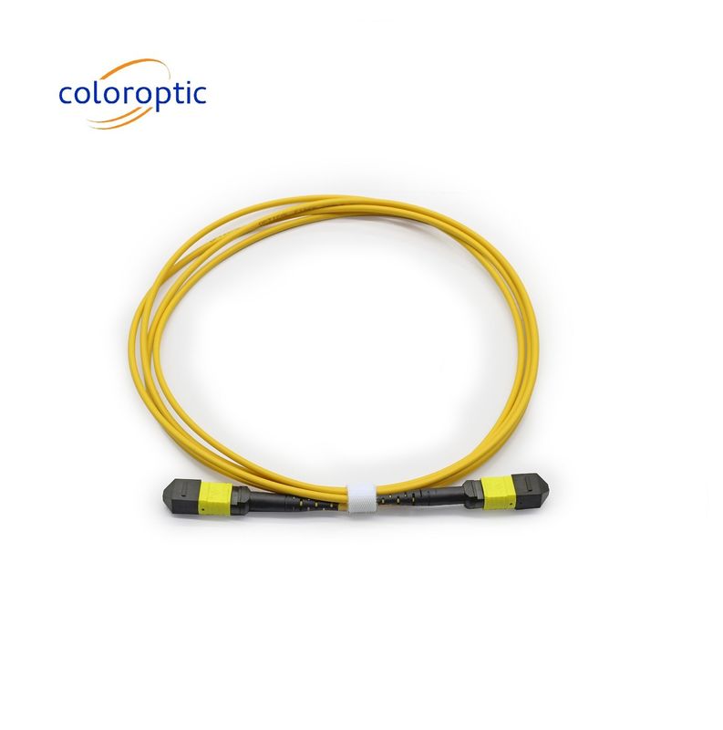 MTP APC Optikkabel von Frau zu Frau 10/40G SM 3M PVC / LSZH Trunkkabel