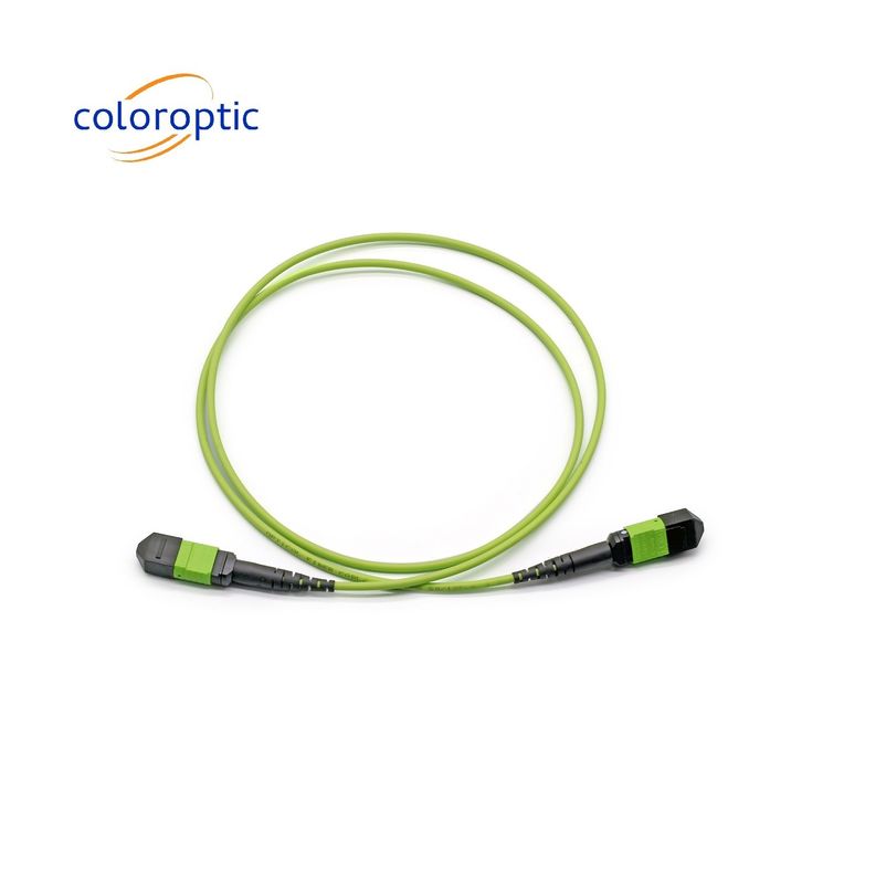 Einmodische MTP Patch Cord MTP-Anschluss G652D / G657A1 / G657A2 Faser