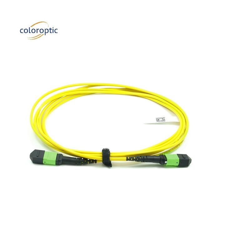 Passive optische Ein-Modus-Patch-Leitung MPO-12 / APC-zu-MPO12 / APC