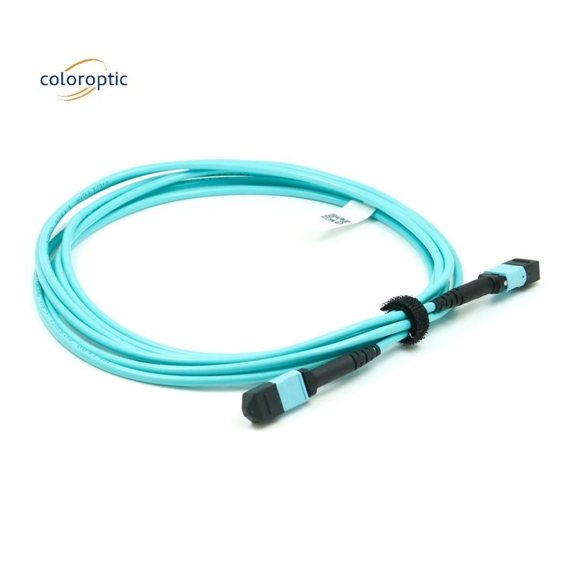 Kabel mit MPO-Anschluss für Telekommunikationsnetze