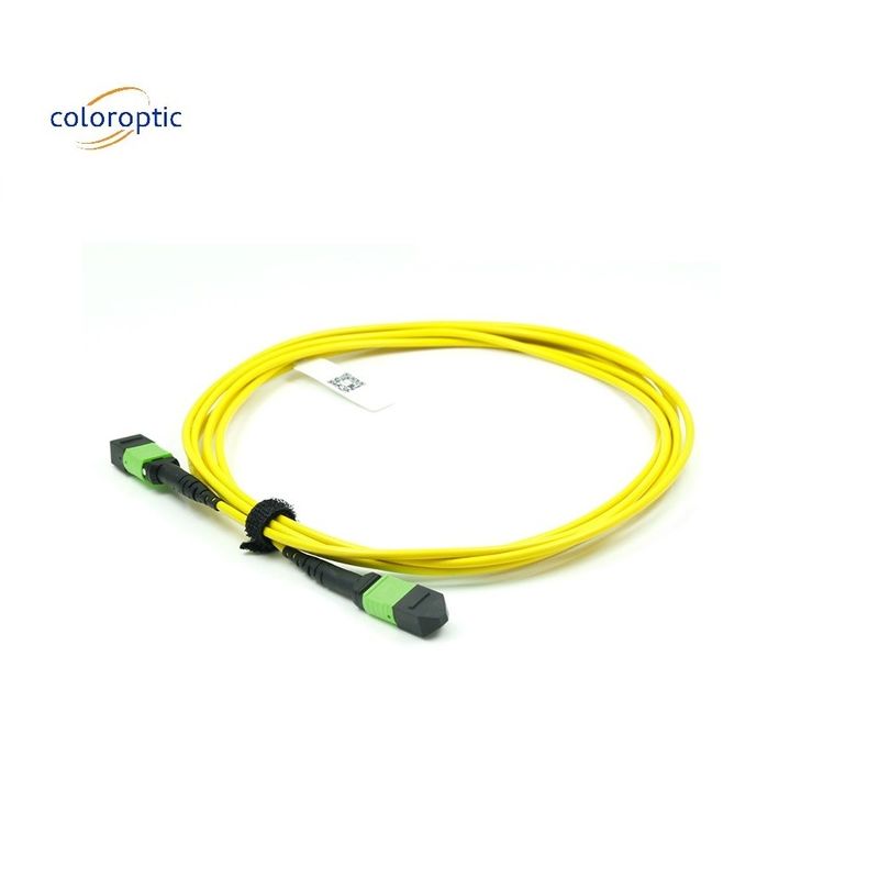 OM3 MPO Patch Cord 12-Kern-Aqua-Fiber-Optische Verbindung für effiziente Vernetzung