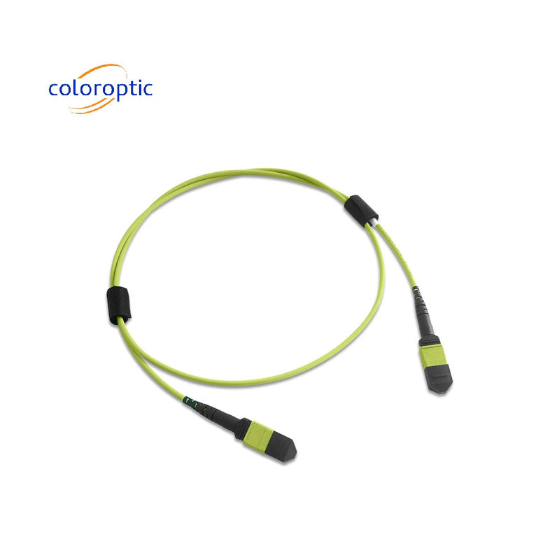 Multifiber MPO Patch Cord PVC Jacket 12 Kern OM5 weiblicher zu weiblicher Stecker PC Polieren