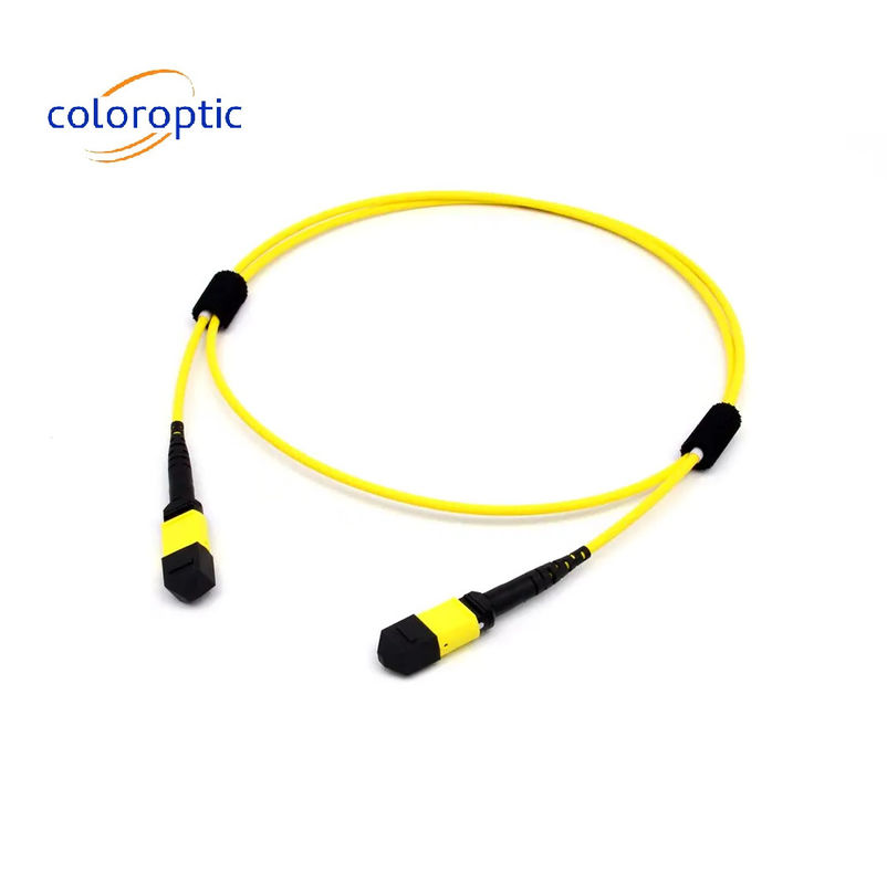 Multimode-Faser-MTP MPO 16 FIBRE OM5 (50/125) PATCH-KABEL für SR8 400G QSFP-DD und OSFP 400G SR8 PAM4